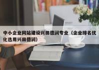 中小企业网站建设兴田德润专业（企业排名优化选用兴田德润）