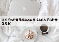 北京学软件开发就业怎么样（北京大学软件开发专业）