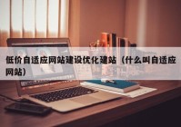 低价自适应网站建设优化建站（什么叫自适应网站）