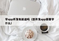 学app开发有前途吗（想开发app需要学什么）