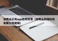 双鸭山公司app软件开发（双鸭山网络科技有限公司视频）