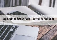 app软件开发服务咨询（软件开发咨询公司）