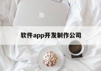 软件app开发制作公司(软件app开发制作公司有哪些)