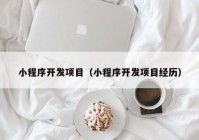 小程序开发项目（小程序开发项目经历）