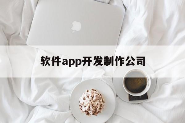 软件app开发制作公司(软件app开发制作公司有哪些)